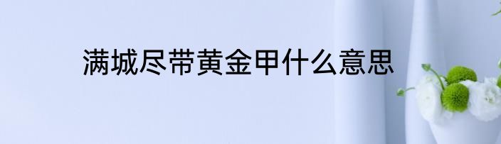 满城尽带黄金甲什么意思