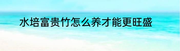 水培富贵竹怎么养才能更旺盛