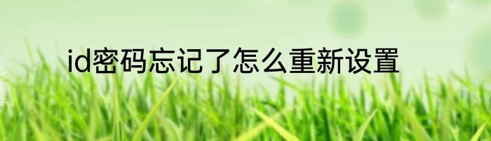 id密码忘记了怎么重新设置