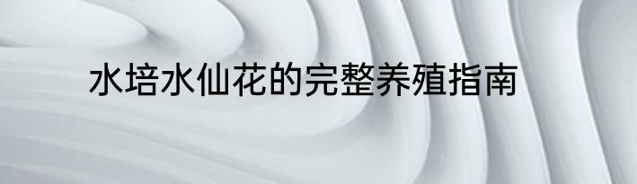 水培水仙花的完整养殖指南