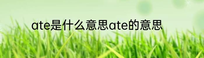 ate是什么意思ate的意思