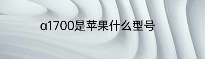 a1700是苹果什么型号