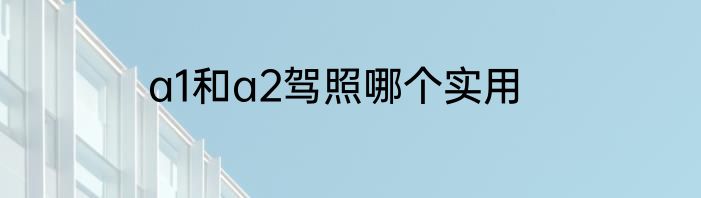 a1和a2驾照哪个实用
