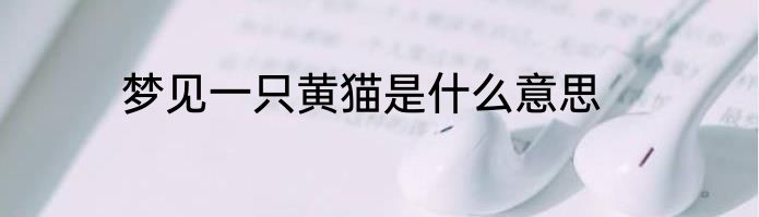 梦见一只黄猫是什么意思