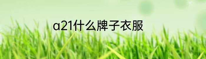 a21什么牌子衣服