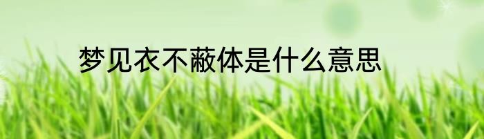 梦见衣不蔽体是什么意思