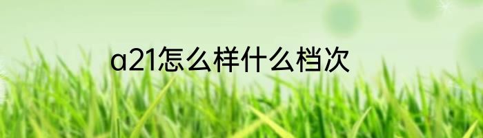 a21怎么样什么档次