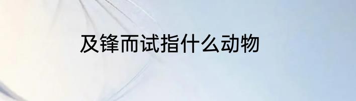 及锋而试指什么动物
