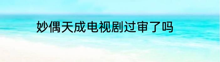 妙偶天成电视剧过审了吗