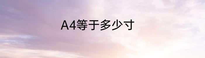 A4等于多少寸
