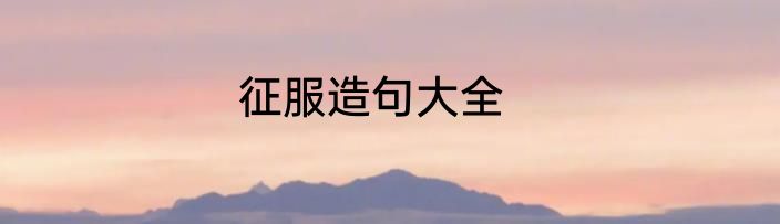 征服造句大全