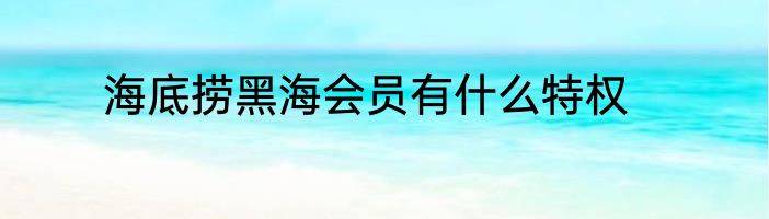 海底捞黑海会员有什么特权