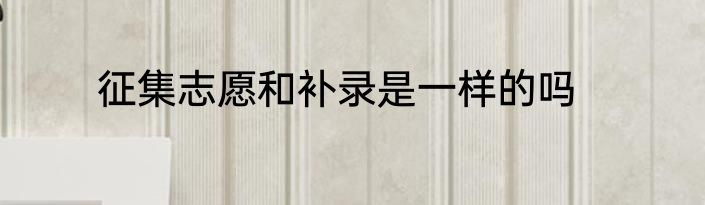 征集志愿和补录是一样的吗