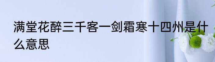 满堂花醉三千客一剑霜寒十四州是什么意思