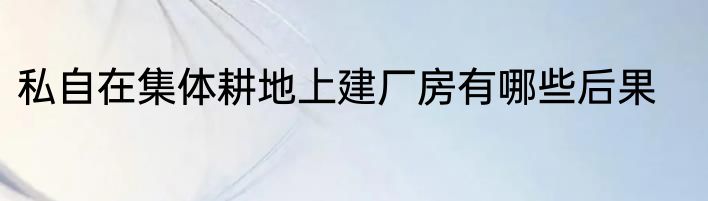 私自在集体耕地上建厂房有哪些后果