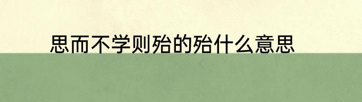思而不学则殆的殆什么意思
