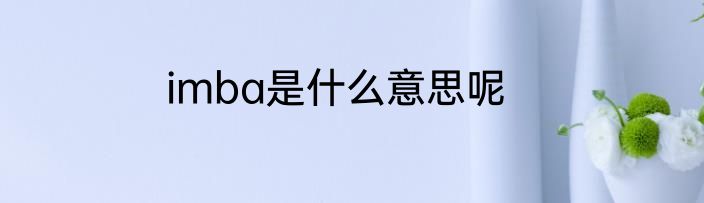 imba是什么意思呢