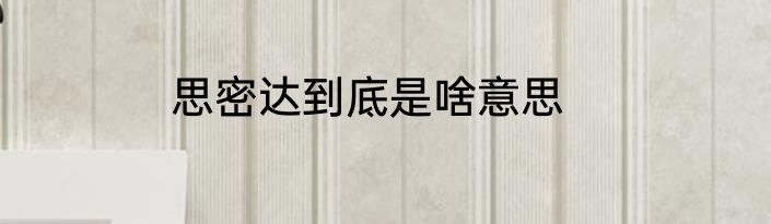 思密达到底是啥意思