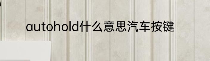 autohold什么意思汽车按键