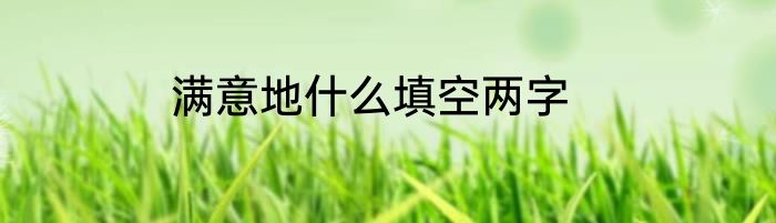 满意地什么填空两字