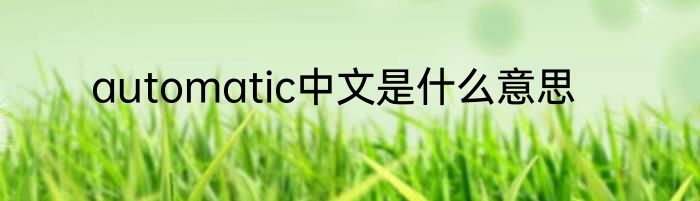 automatic中文是什么意思