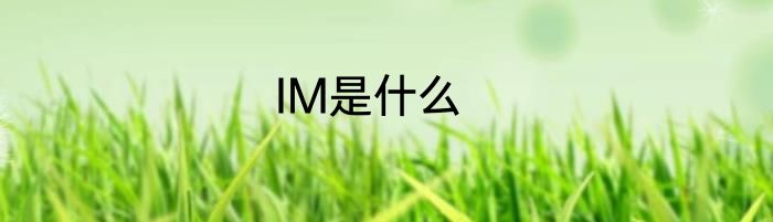 IM是什么