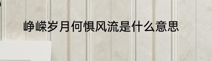 峥嵘岁月何惧风流是什么意思