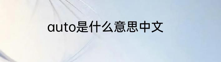 auto是什么意思中文