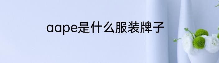 aape是什么服装牌子