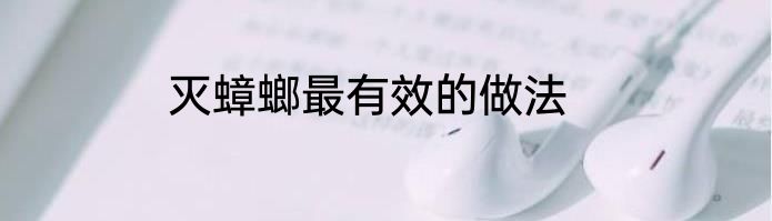 灭蟑螂最有效的做法