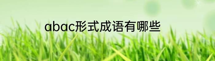 abac形式成语有哪些