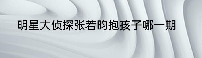 明星大侦探张若昀抱孩子哪一期