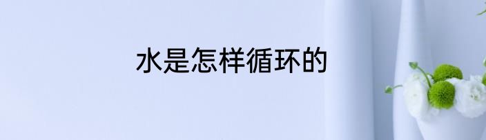水是怎样循环的