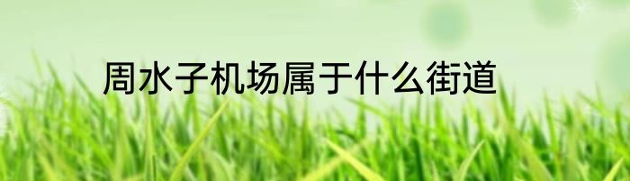 周水子机场属于什么街道