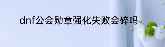 dnf公会勋章强化失败会碎吗