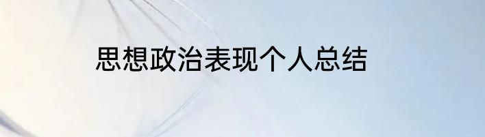 思想政治表现个人总结