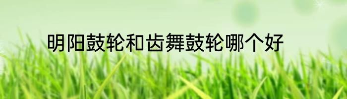 明阳鼓轮和齿舞鼓轮哪个好