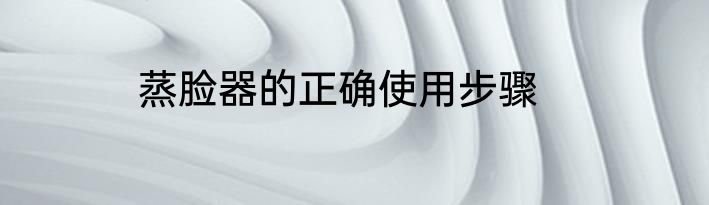 蒸脸器的正确使用步骤