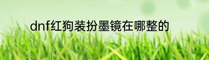dnf红狗装扮墨镜在哪整的