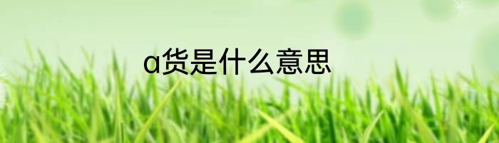 a货是什么意思