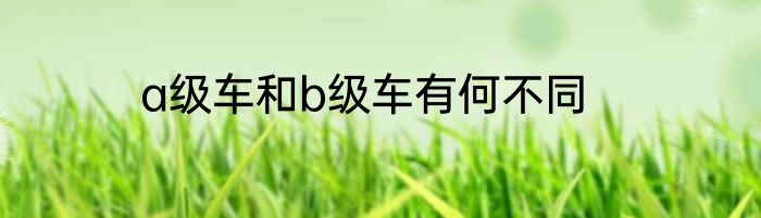 a级车和b级车有何不同