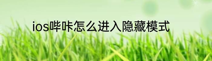 ios哔咔怎么进入隐藏模式