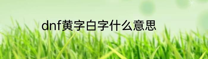 dnf黄字白字什么意思