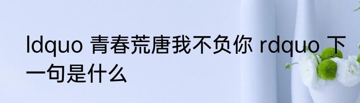 ldquo 青春荒唐我不负你 rdquo 下一句是什么