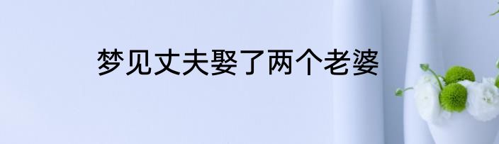 梦见丈夫娶了两个老婆