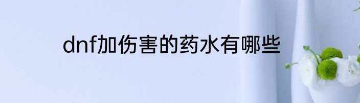 dnf加伤害的药水有哪些