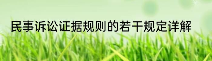 民事诉讼证据规则的若干规定详解