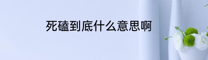 死磕到底什么意思啊