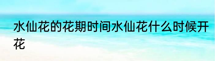 水仙花的花期时间水仙花什么时候开花