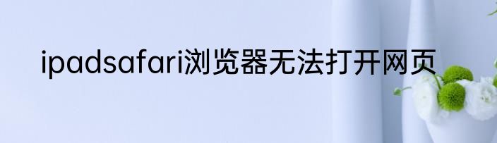 ipadsafari浏览器无法打开网页